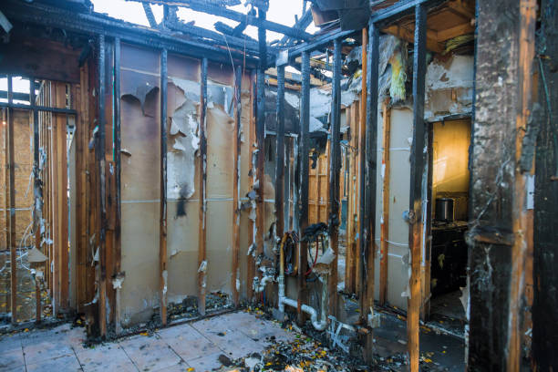 Professional Smoke Damage Removal technician working in Gwynedd, PA